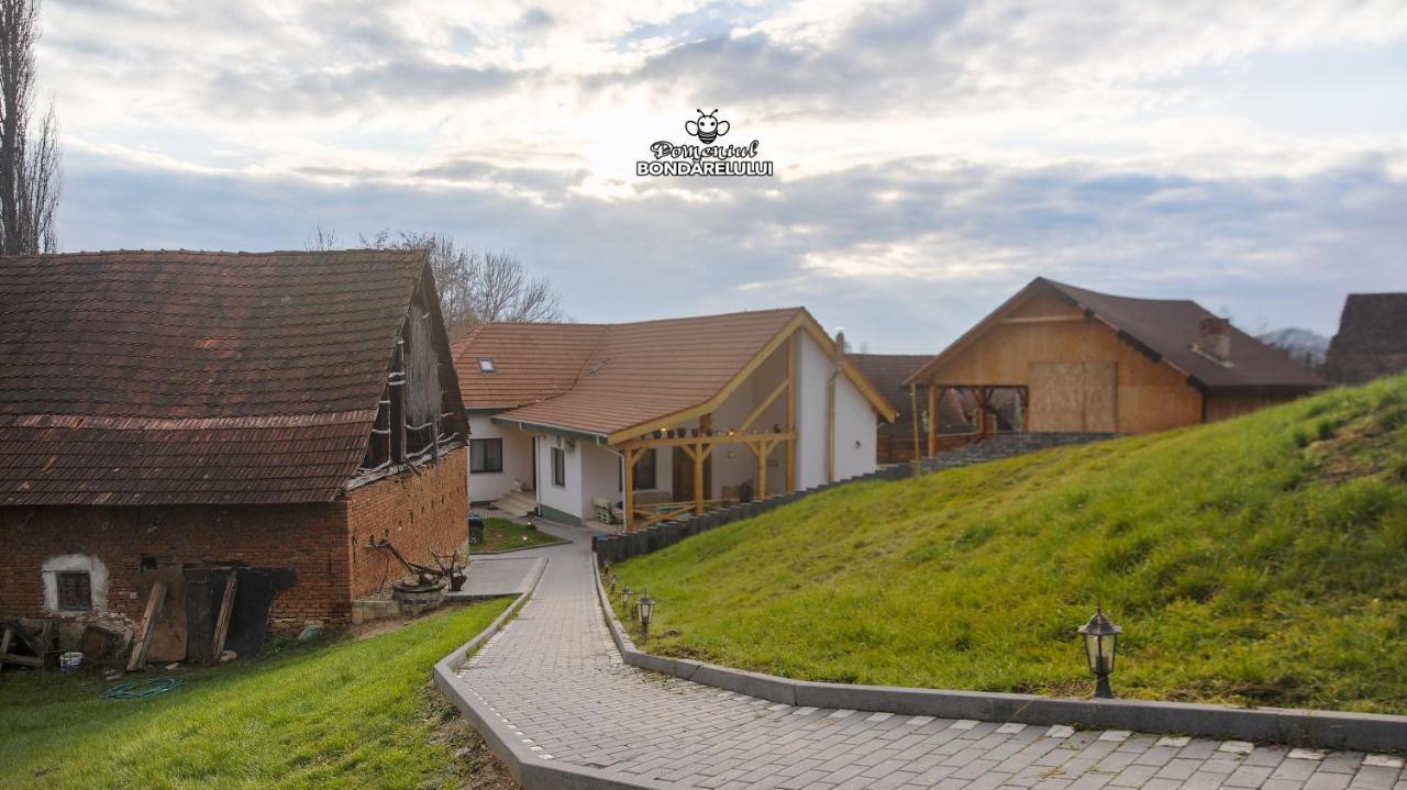 Domeniul Bondarelului Otel Ocolisu Mic Dış mekan fotoğraf
