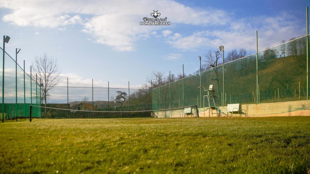 Domeniul Bondarelului Otel Ocolisu Mic Dış mekan fotoğraf
